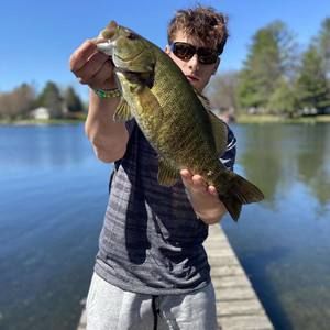 Meet your Posher, Ronnie